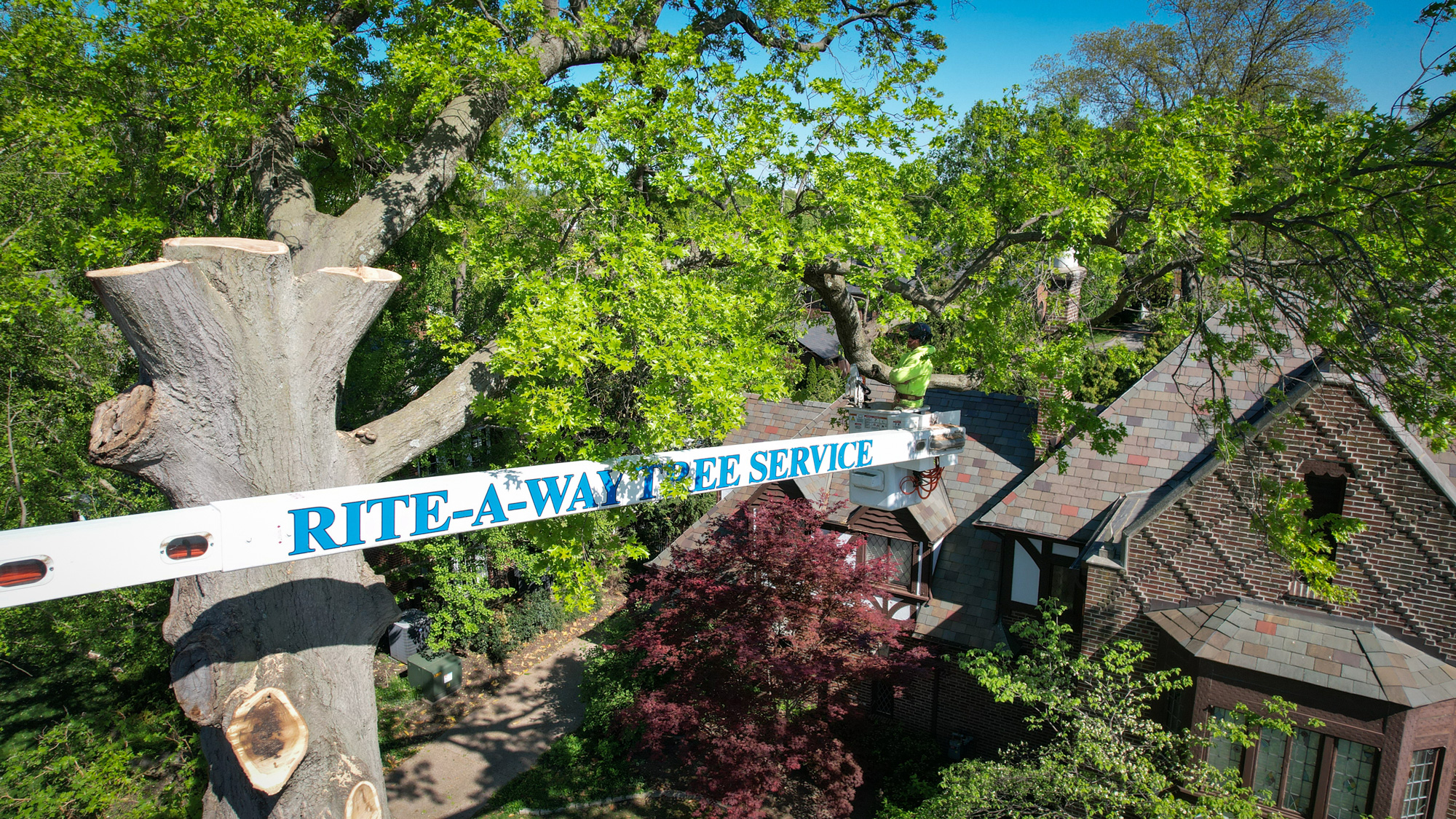 Rite-A-Way Professional Tree Services in the St. Charles and St. Louis Area