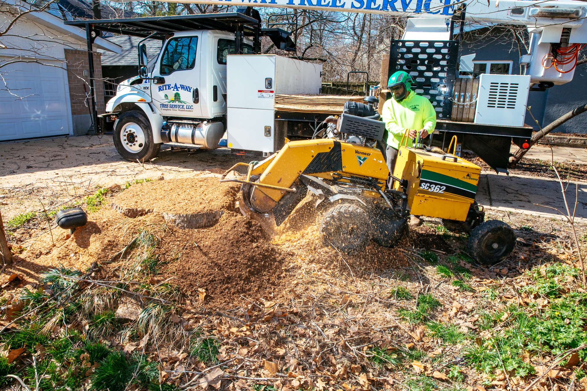 St. Louis' Best Tree Stump Removal