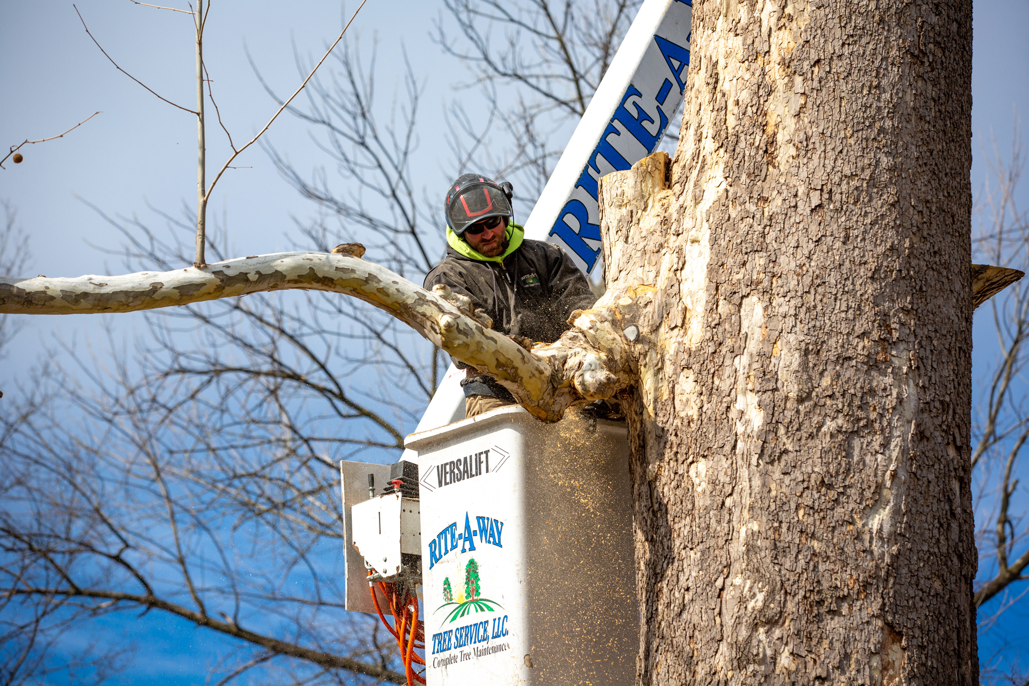 Rite-A-Way Tree Service is St. Louis County's Best Tree Service