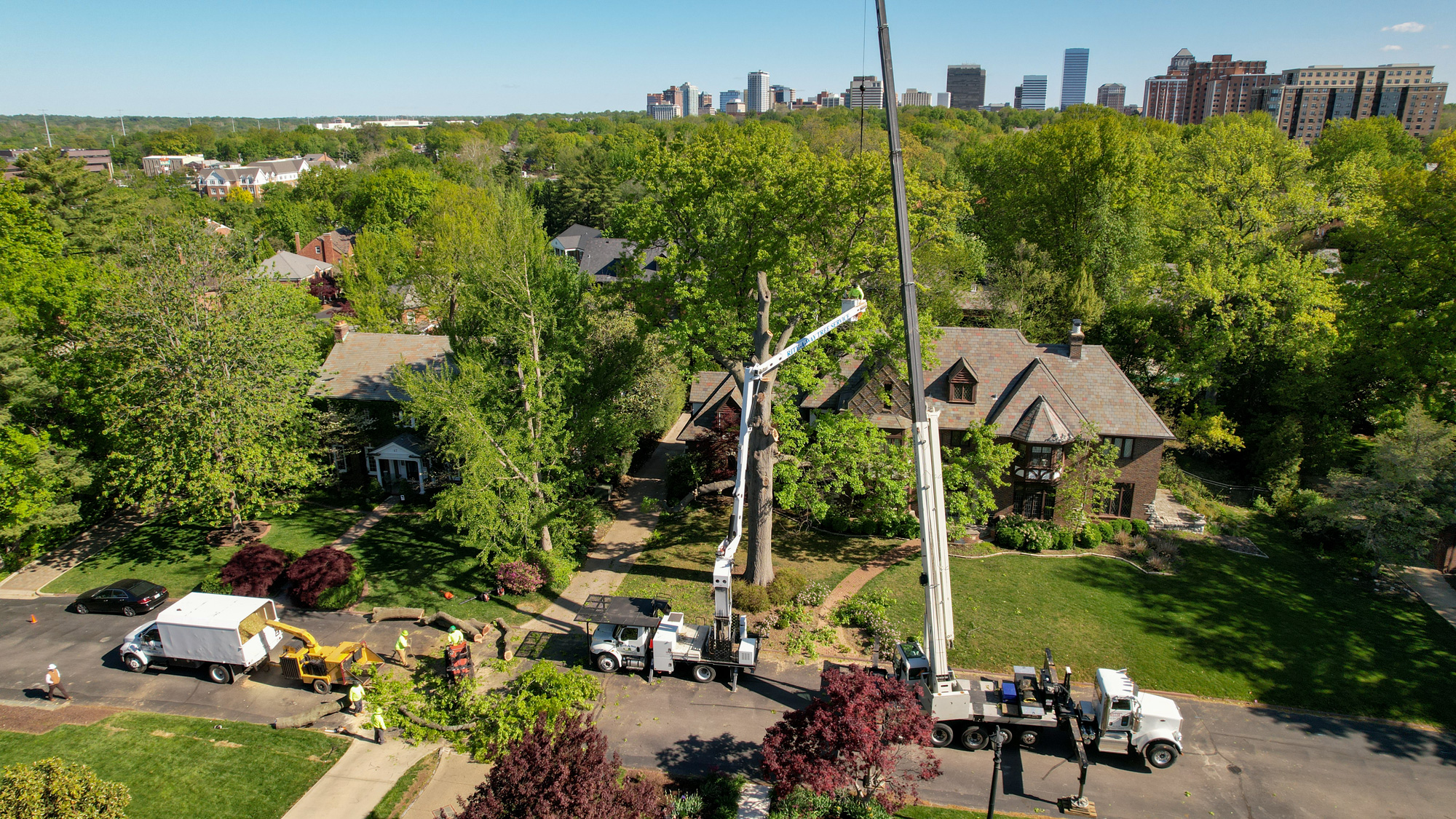 Contact St. Louis's Best Tree Service
